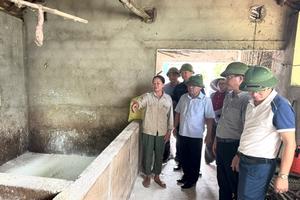 Nghệ An: Cảnh báo khoảng trống phòng dịch tả lợn châu Phi từ ở cơ sở