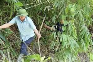 Nghệ An: Phó Chủ tịch UBND tỉnh cùng đoàn công tác vượt rừng đến với vùng lũ Nhôn Mai