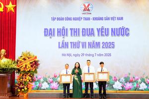 TKV: Khơi dậy khát vọng cống hiến, lan tỏa thi đua yêu nước