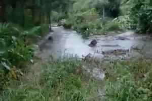 Thanh Hoá: Trại chăn nuôi lợn Bãi Kê có dấu hiệu xả thải ra môi trường