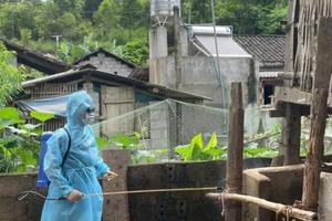 Lạng Sơn: Số lợn mắc bệnh, chết và bị tiêu hủy lên đến hơn 8.000 con