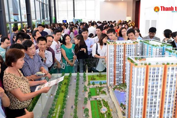 A lô Thanh tra số 31/2025: Những hệ luỵ của việc cấp chứng chỉ hành nghề môi giới bất động sản “chui”