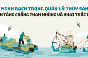 Minh bạch trong quản lý thủy sản: Nền tảng chống tham nhũng và khai thác IUU