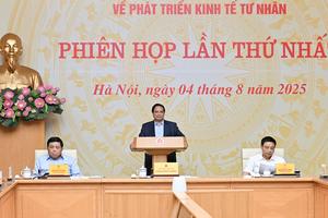 Thủ tướng: Kiểm tra, giám sát để bộ máy vận hành trơn tru, tạo xu thế phát triển kinh tế tư nhân