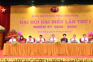 Tuyên Quang: Quyết tâm thực hiện thắng lợi các chỉ tiêu, nhiệm vụ đã đề ra
