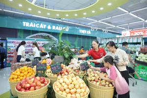 Tăng trưởng ở nông thôn: “Chìa khóa” cho WinCommerce?