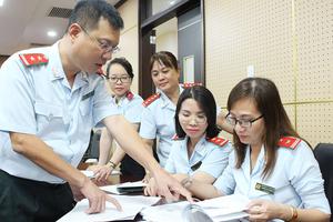 Chính phủ ban hành Nghị định hướng dẫn thi hành Luật Thanh tra năm 2025