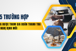5 trường hợp không được tham gia đoàn thanh tra theo nghị định mới