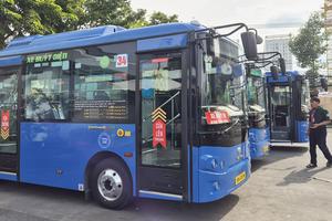 TP Hồ Chí Minh vận hành thêm 443 xe buýt điện, thúc đẩy “xanh hóa” giao thông