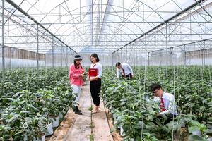 Tín dụng xanh tại Agribank: Dấu ấn tiên phong vì sự phát triển bền vững