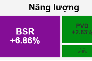 BSR tím trần trong phiên VN-Index lập đỉnh thời đại