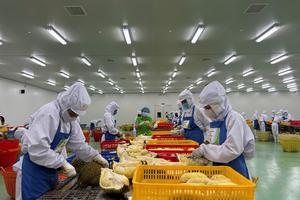 Hơn 1.200 doanh nghiệp ở Đắk Lắk rút lui khỏi thị trường, nhưng vẫn có những tín hiệu tích cực