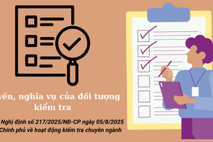 Quyền, nghĩa vụ của đối tượng kiểm tra theo Nghị định 217