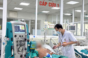 Cảnh báo về bệnh liên cầu lợn lây từ động vật sang người