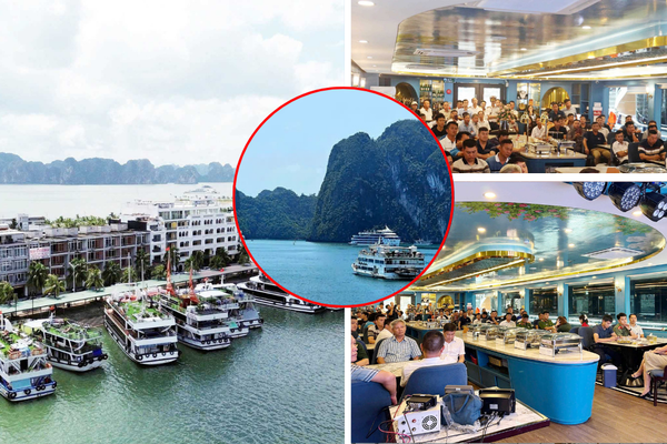Quảng Ninh: Tàu du lịch vịnh Hạ Long gắn AIS, tăng an toàn cho du khách