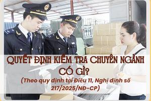Quyết định kiểm tra chuyên ngành có gì?