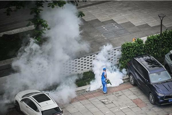 Cảnh báo về dịch bệnh Chikungunya