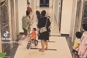 Bạo lực nơi công cộng: Hồi chuông báo động về ý thức tuân thủ pháp luật