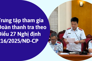 Tiêu chuẩn, chế độ của người được trưng tập tham gia đoàn thanh tra