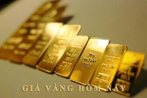 Giá vàng hôm nay 11/8/2025: Vàng miếng đi ngang, vẫn ở ngưỡng cao
