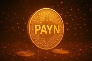 Người dân cảnh giác với hành vi lừa đảo tiền ảo như PAYN
