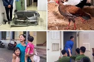 Từ vụ án “Gà lôi trắng”: Để “bảo tồn” trong khuôn khổ pháp luật mà không “bỏ quên” tính nhân văn?