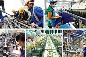 Quy chế trao đổi thông tin giữa Cơ quan Thuế và Hải quan: Vì môi trường kinh doanh minh bạch