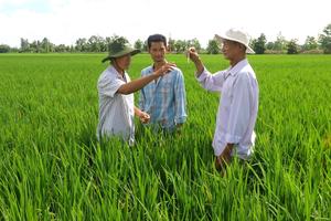 Sở Nông nghiệp và Môi trường TP Cần Thơ đảm bảo công việc cho người lao động sau sáp nhập