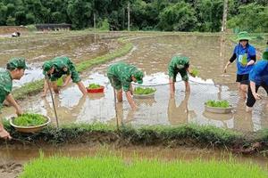 Nghệ An: Điều động cán bộ về cơ sở để tăng cường nhân lực cho xã khó khăn