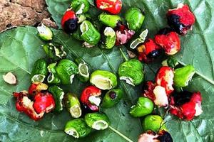 Quảng Ngãi: Chưa khắc phục xong hậu quả bão lũ lại căng mình chống chuột phá sâm