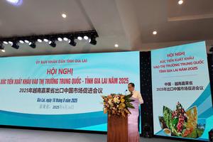 Gia Lai: Vùng đất tiềm năng, điểm đến lý tưởng cho nhà đầu tư và xuất khẩu