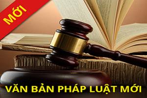 Sửa đổi, bổ sung về Luật Đấu thầu trong lựa chọn nhà đầu tư