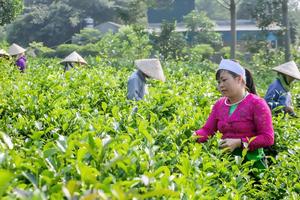 Chương trình mục tiêu quốc gia đặt nền móng cho sự phát triển bền vững vùng dân tộc thiểu số và miền núi