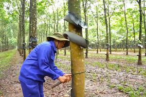 DAKRUCO vững vàng vượt sóng thị trường, tiên phong phát triển bền vững