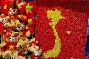 Niềm tự hào trong ngày hội lớn của dân tộc