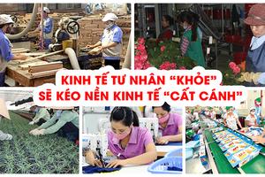 Huy động sức mạnh toàn dân, toàn xã hội đầu tư, sản xuất, góp phần phát triển đất nước