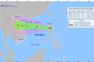Chủ động ứng phó áp thấp nhiệt đới có khả năng mạnh lên thành bão