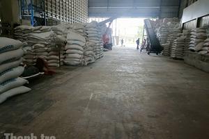 Nhiều “bất cập” hoạt động kinh doanh xuất khẩu gạo của Công ty TNHH Sunrise Ins