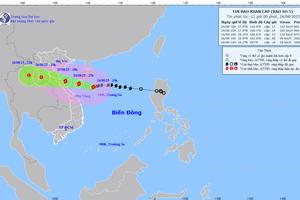 Vùng biển tỉnh Quảng Ngãi hiện có 144 tàu, với 869 lao động hoạt động