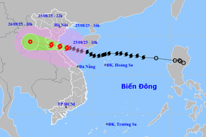 Tạm dừng các hoạt động lễ hội, vui chơi, giải trí, du lịch, tập trung ứng phó khẩn cấp bão số 5