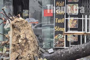 Thanh Hóa khẩn trương chỉ đạo hộ đê, khắc phục sự cố sau bão số 5