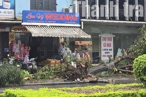 Thanh Hóa oằn mình trong bão số 5: Hàng trăm nghìn hộ dân mất điện, nhiều bản làng bị cô lập