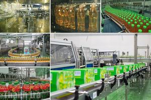 Điều gì tạo nên giá trị đột phá của Trà Xanh Không Độ?