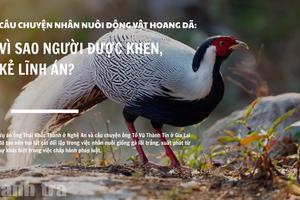 Câu chuyện nhân nuôi động vật hoang dã: Vì sao người được khen, kẻ lĩnh án?