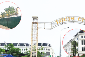 Dòng vốn rẻ chảy mạnh vào bất động sản, vì sao giá nhà vẫn leo thang?