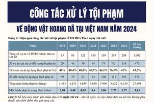 Mạng xã hội và vai trò giảm cầu “đặc sản rừng”