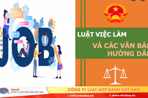 Tạo cơ sở pháp lý đầy đủ, thống nhất, đồng bộ về chính sách hỗ trợ tạo việc làm