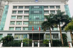 Cục Hàng hải và Đường thủy Việt Nam thực hiện Kết luận thanh tra số 81/KL-TTr như thế nào?