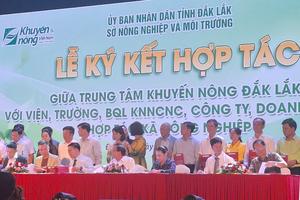 CACAO LAND ký kết thỏa thuận hợp tác với Trung tâm Khuyến nông Đắk Lắk