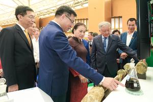 Lãnh đạo Đảng và Nhà nước tham quan gian trưng bày của Petrovietnam tại Triển lãm 80 năm thành tựu đất nước